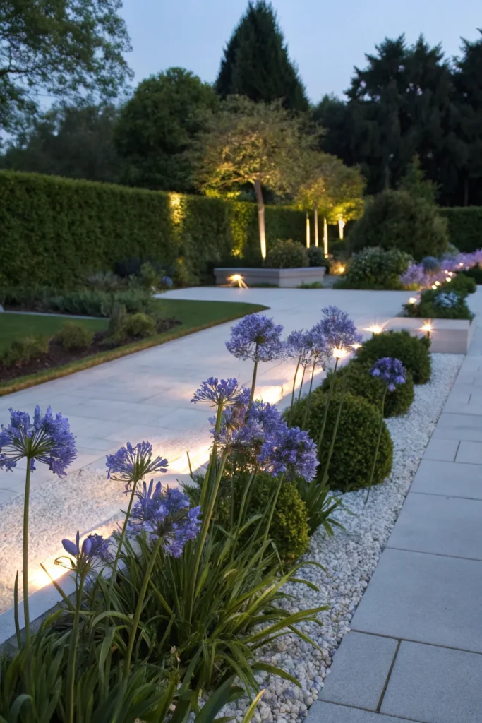 Gardens With Agapanthus