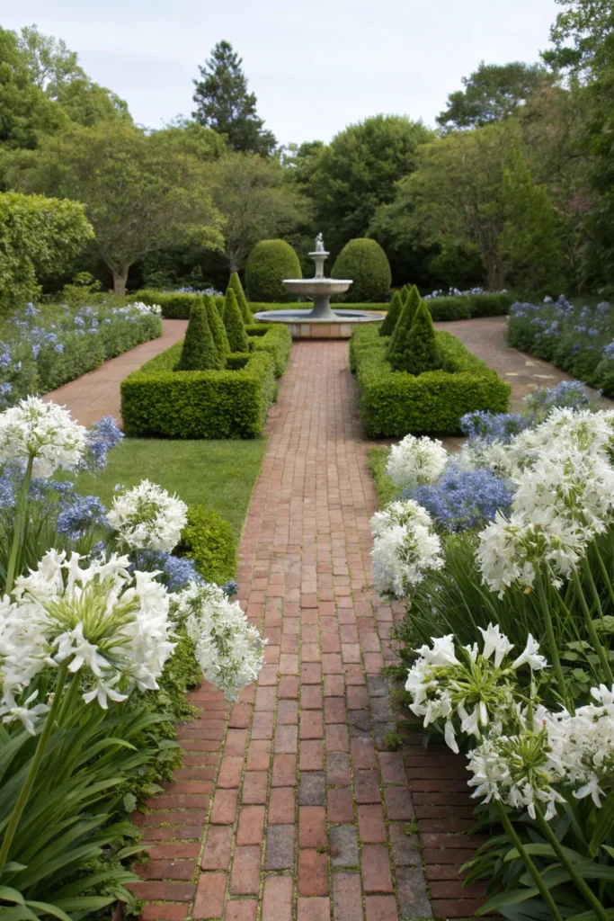 Gardens With Agapanthus