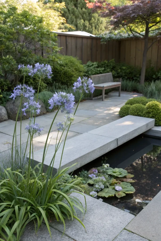 Gardens With Agapanthus