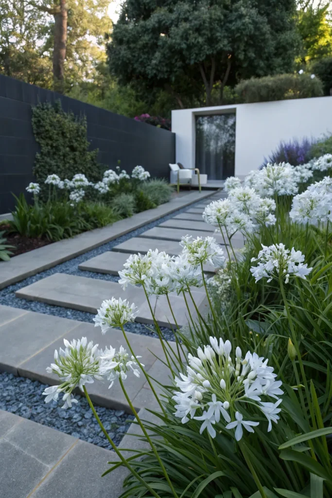 Gardens With Agapanthus