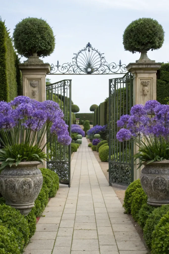 Gardens With Agapanthus
