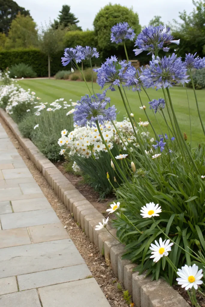 Gardens With Agapanthus