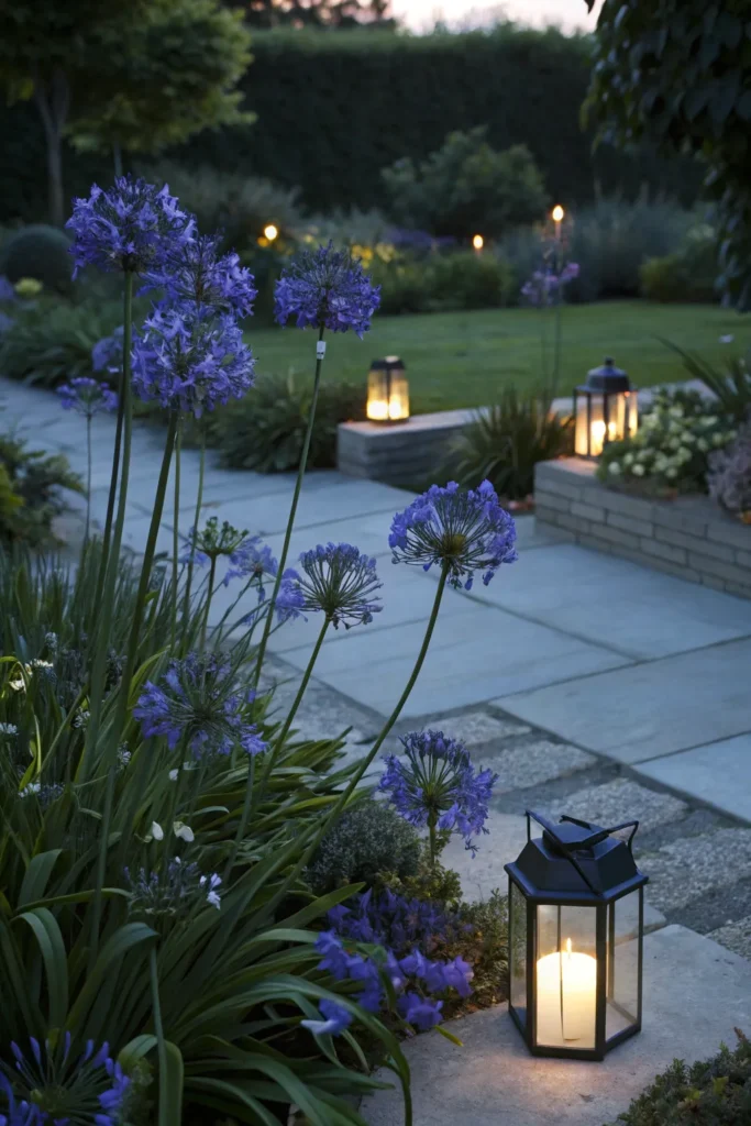 Gardens With Agapanthus