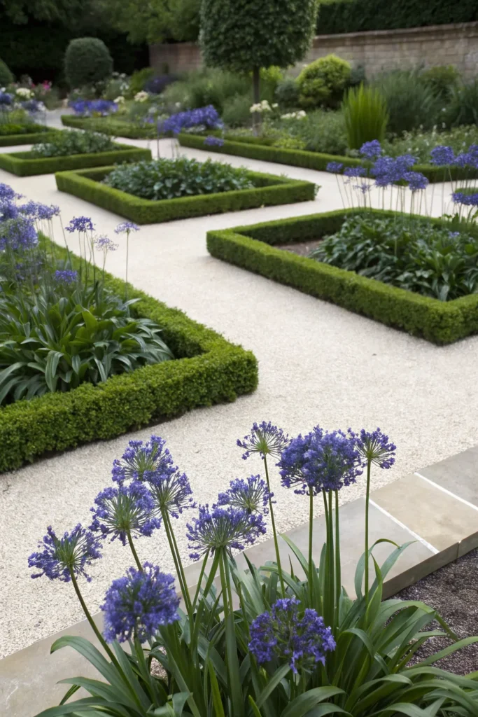 Gardens With Agapanthus
