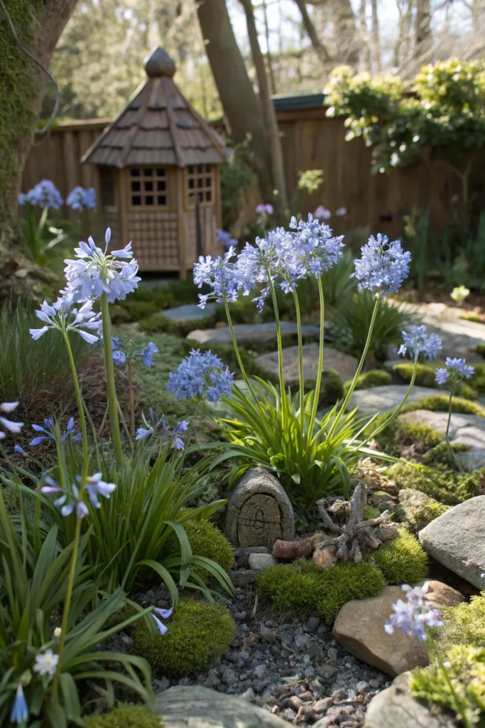 Gardens With Agapanthus